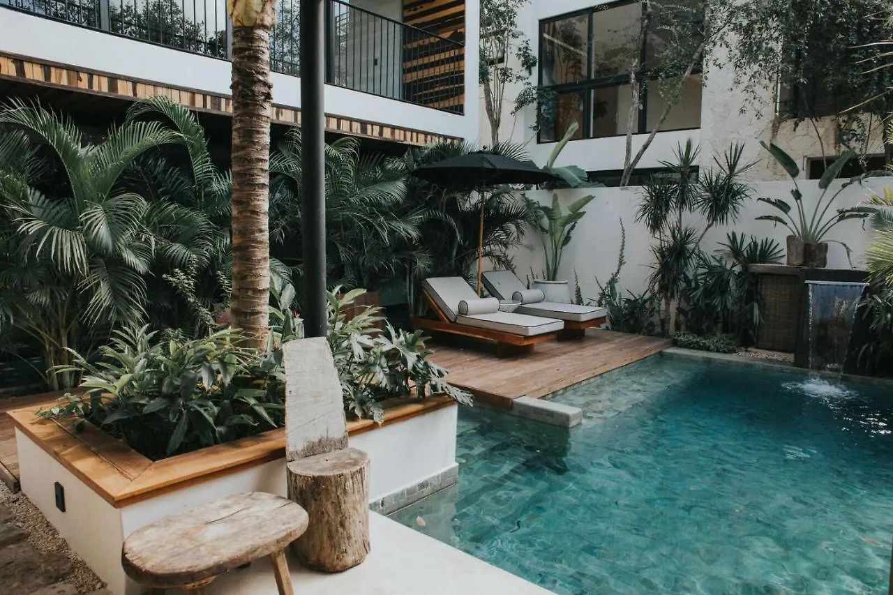 Peaceful Tulum Penthouse With Stylish Private Plunge Pool And Nature Views Apartment